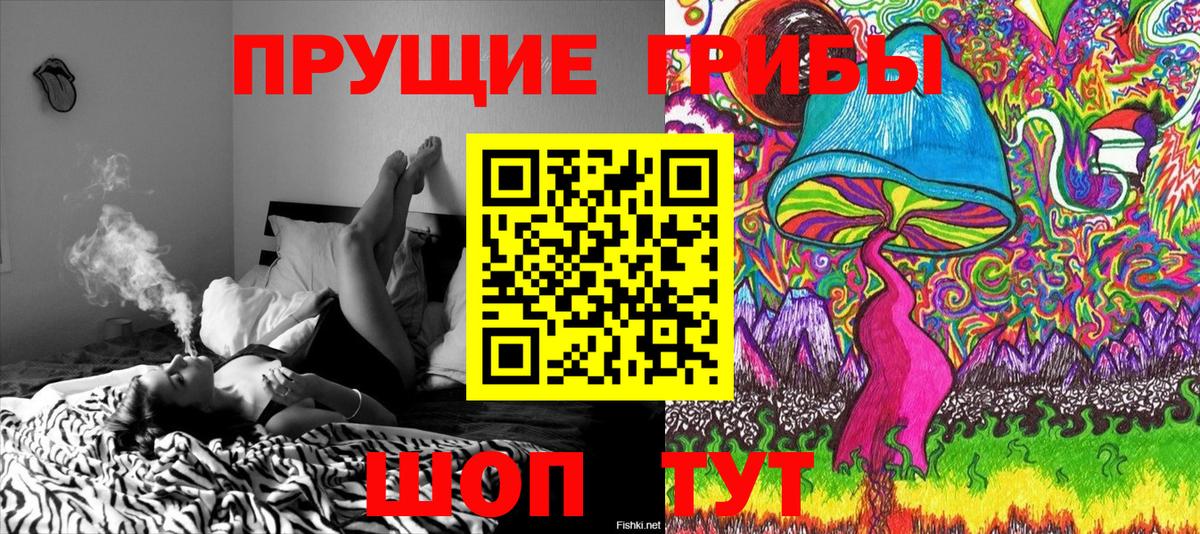 наркошоп  Псилоцибиновые грибы Magic Shrooms  Вход с VPN  Псилоцибиновые грибы Psilocybine cubensis  Ростов-на-Дону 