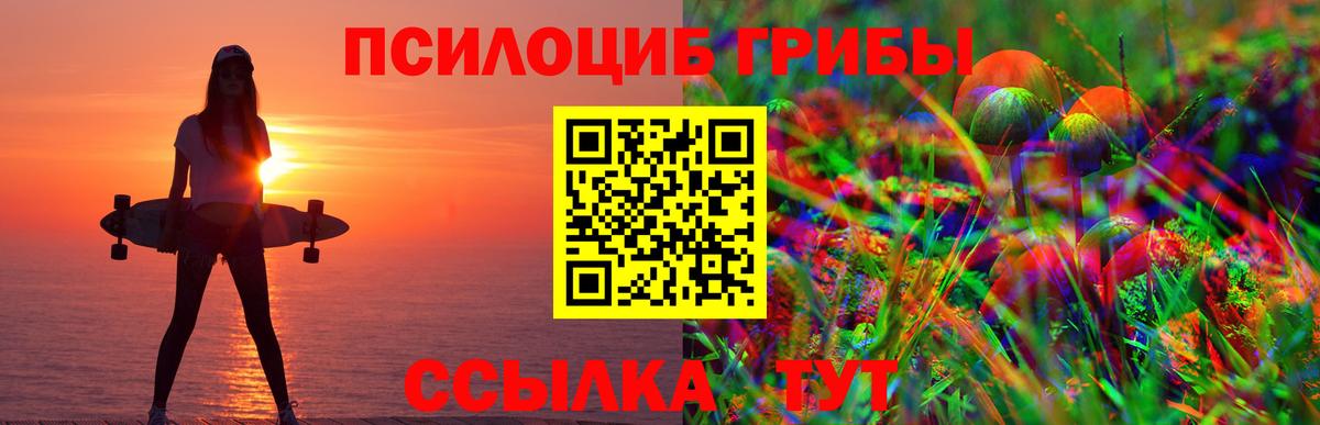 Псилоцибиновые грибы прущие грибы Ростов-на-Дону